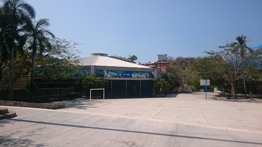 Colegio La Salle, Av. México s/n, Cumbres de Figueroa, 39689 Acapulco, Gro., México, Escuela privada | GRO