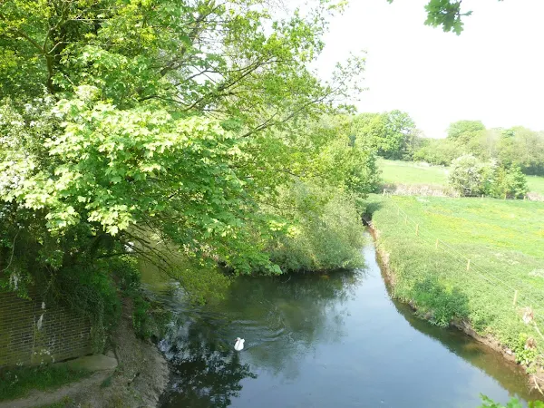 River Wensum at Attlebridge