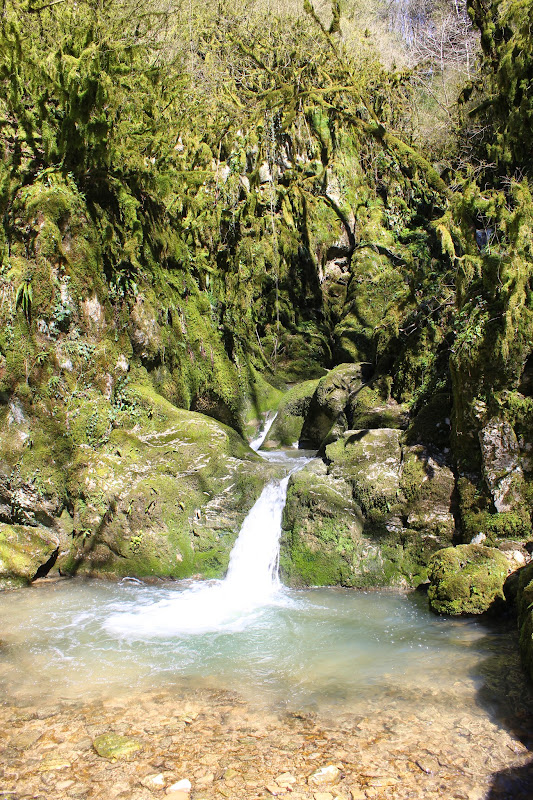 La cascade du Buizin IMG_2445