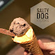 Salty Dog Kiosks