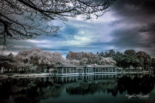 Chinese Garden