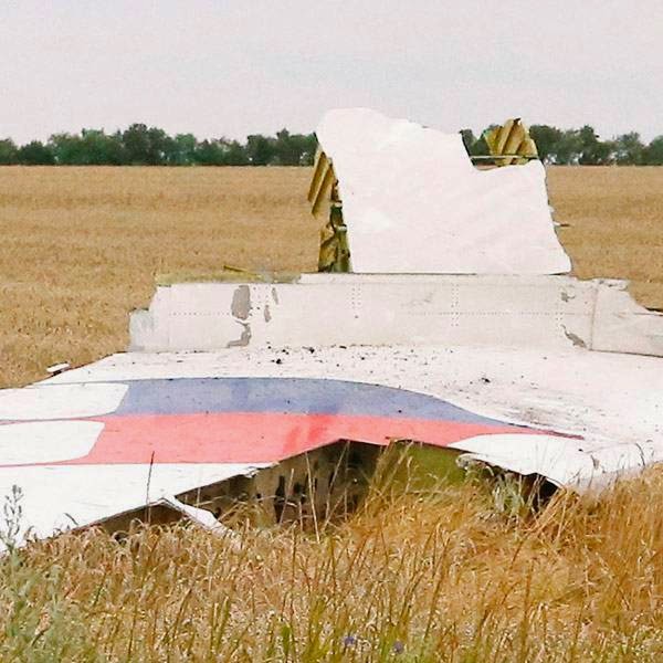 A part of the wreckage of a Malaysia Airlines Boeing 777 plane is seen after it crashed near the settlement of Grabovo in the Donetsk region, July 17, 2014.