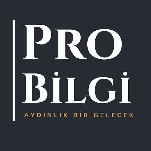 Pro Bilgi Yurtdışı Eğitim logo
