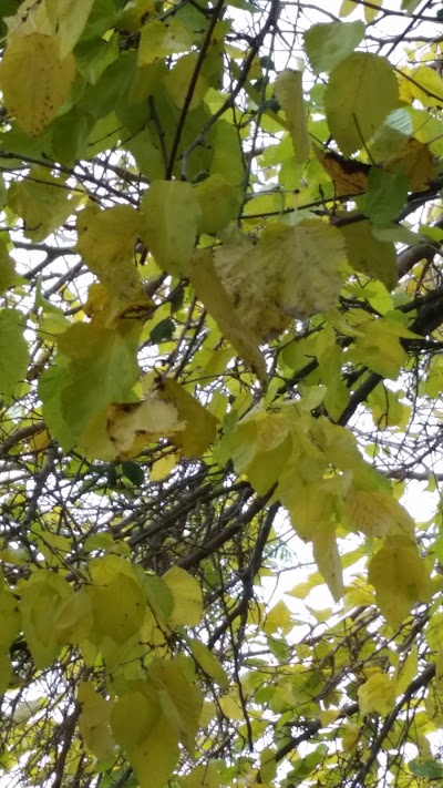 Photos of Nahal Snir Nature Preserve