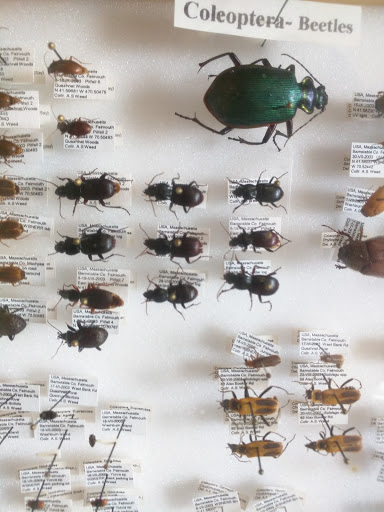 Waquoit Bay National Estuarine Research Reserve