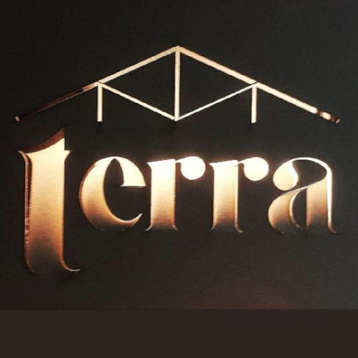 Terra logo