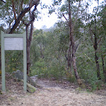 Int of Great North Walk and Canoon Rd Servicetrail (5570)