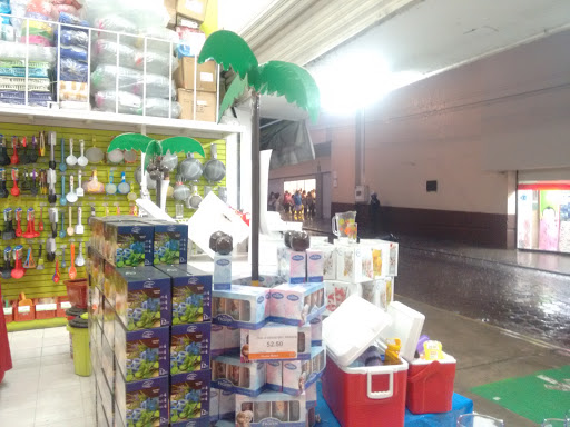Veana, Calle Aquiles Serdán 6, Centro, 74400 Izúcar de Matamoros, Pue., México, Tienda de artículos para el hogar | PUE