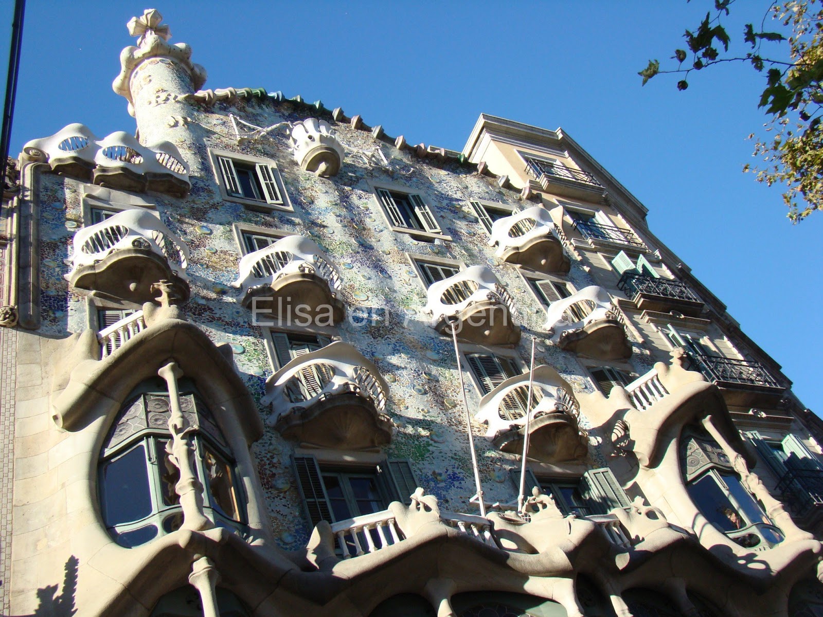 Casa Batló, Modernismo, Barcelona, Elisa N, Blog de Viajes Argentina, Gaudí