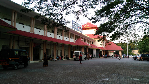 Palakkad, Railway Station Rd, Kallekkulangara, Chepilamury, Olavakode, Palakkad, Kerala 678002, India, Underground_Station, state KL