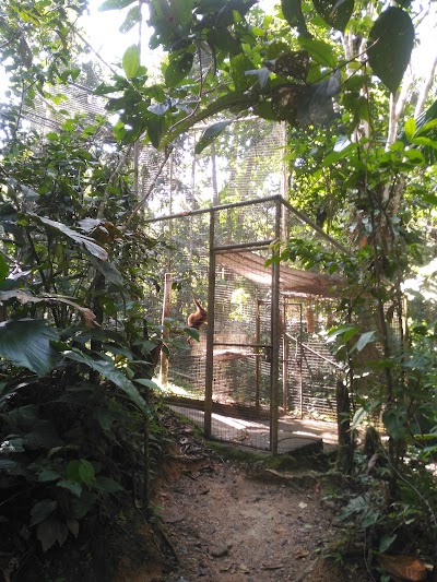 Photos of amaZOOnico