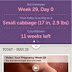 Pregnancy Update : Week 29