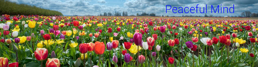 Aparna Thakar Psychologist & Counselor, 12, Neel Ratna Co- Op Housing Society,, 1103-B, Model Colony,Shivaji Nagar,, Pune, Maharashtra 411016, India, Psychologist, state MH