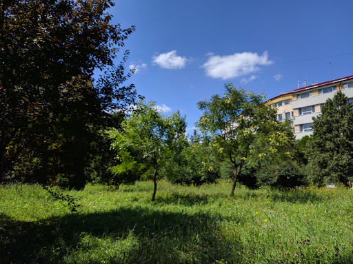 Cantina Studențească Observator