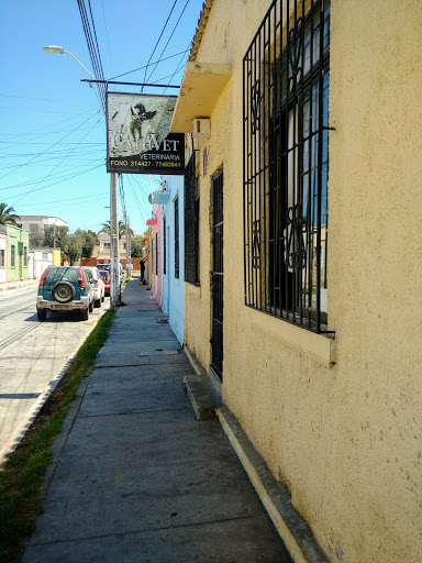 Veterinaria CathVet, Galvarino 61, Coquimbo, Región de Coquimbo, Chile, Cuidado veterinario | Coquimbo