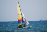 yellow catamaran