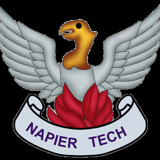 Napier Tech Cricket Club logo