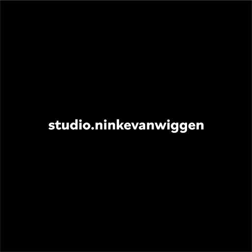 Studio Ninke van Wiggen logo