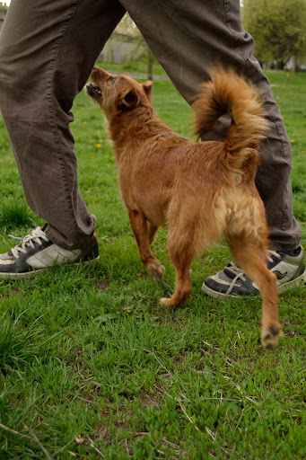 DSC_4920.JPG