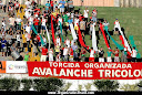 TORCIDA AVALANCHE TRICOLOR 