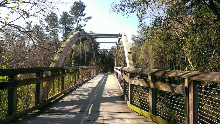 Suspension Bridge - Upper Tampa Bay Trail