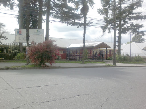 Liceo Rector Armando Robles Rivera, Arauco 474, Valdivia, Región de los Ríos, Chile, Colegio | Los Ríos