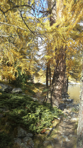 Lac de Palpuogna