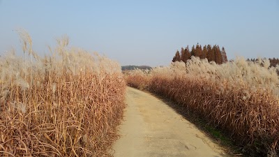 Photos of 블루워터수족관