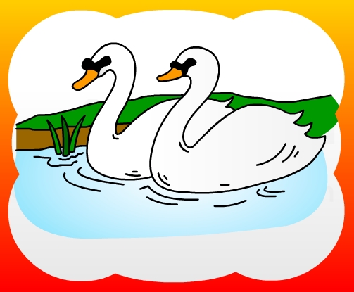 How to draw Swan for kids