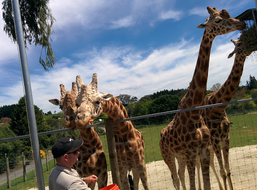 Hamilton Zoo
