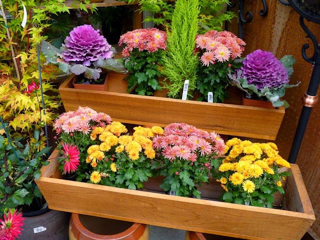 Sunny Farms Country Store