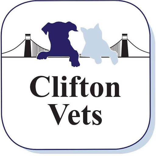 Clifton Veterinary Practice
