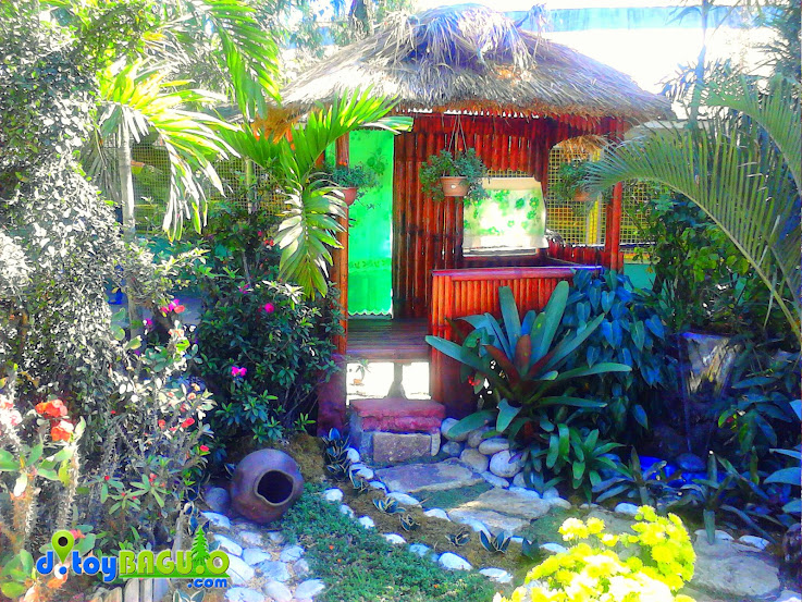 2013 Panagbenga Flower Festival Landscaping picture 27