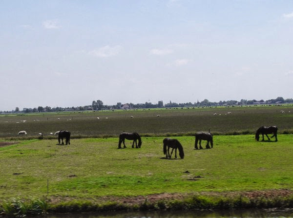  Medemblik