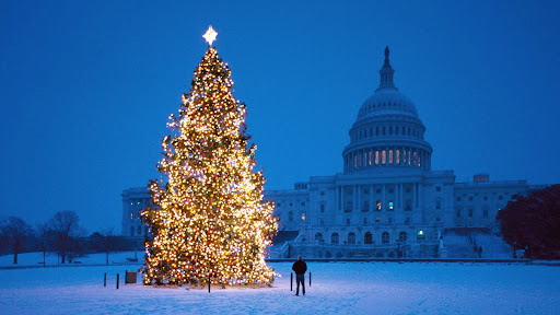 Christmas at the Capitol, Washington, D.C..jpg