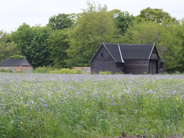 Old farm buildings at Benacre
