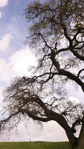 Nature Preserve «Coyote Valley Open Space Preserve», reviews and photos, 550 Palm Ave, Morgan Hill, CA 95037, USA