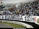 TORCIDA ORGANIZADA CAMISA 12