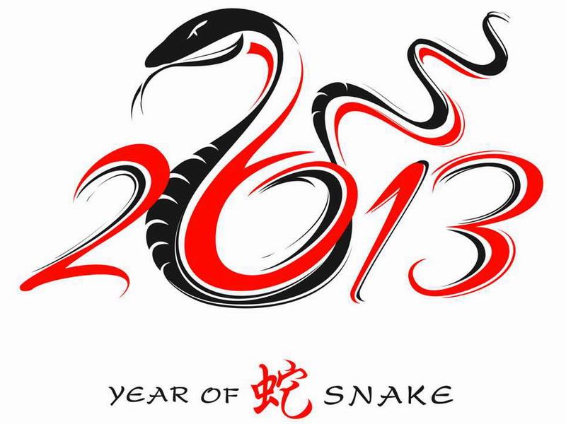 2013 Year Of The Snake