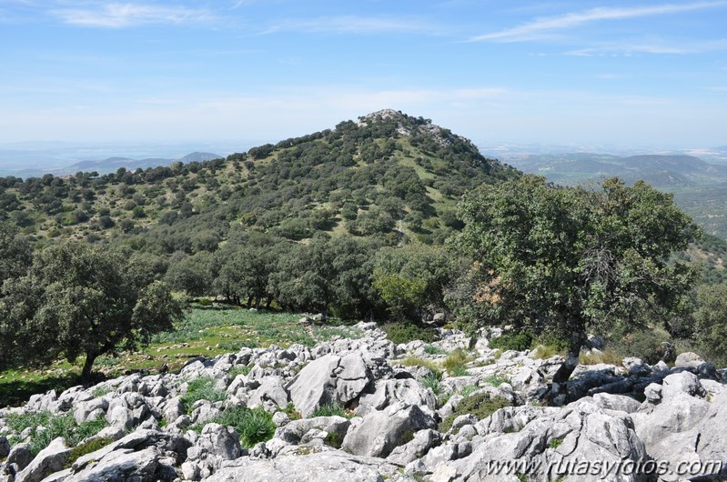 Cerros Albarracinejo-Peñuelas-Ponce-Albarracin y Alto del Puntal