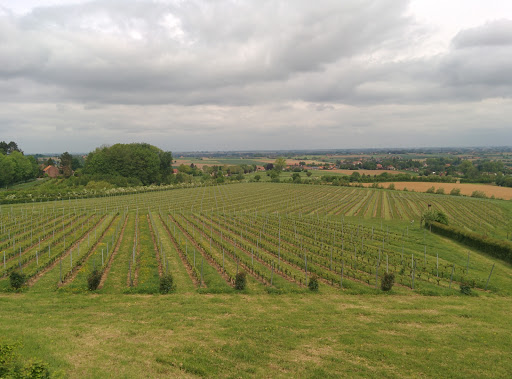 Wijndomein Entre-Deux-Monts