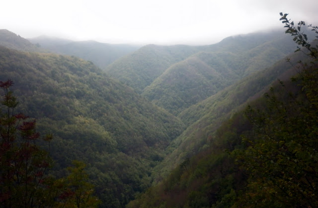 P1000237.JPG