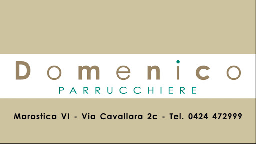 Domenico Parrucchiere logo