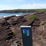 Arrow marker north of Hegarty Bay (106378)