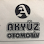 Akyüz Otomotiv Bakım Servisi logo