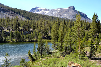 YOSEMITE: Un Parque Nacional con mayúsculas. - COSTA OESTE USA 2012 (California, Nevada, Utah y Arizona). (9)