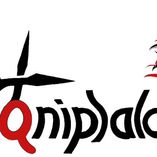 de Qnipsalon logo