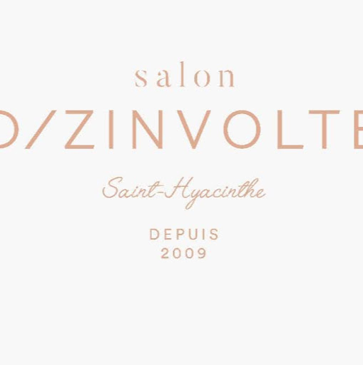 Salon D-Zinvolte logo