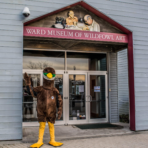 The Ward Museum of Wildfowl Art