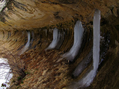 Icicles at the end of a branch of Cow Canyon